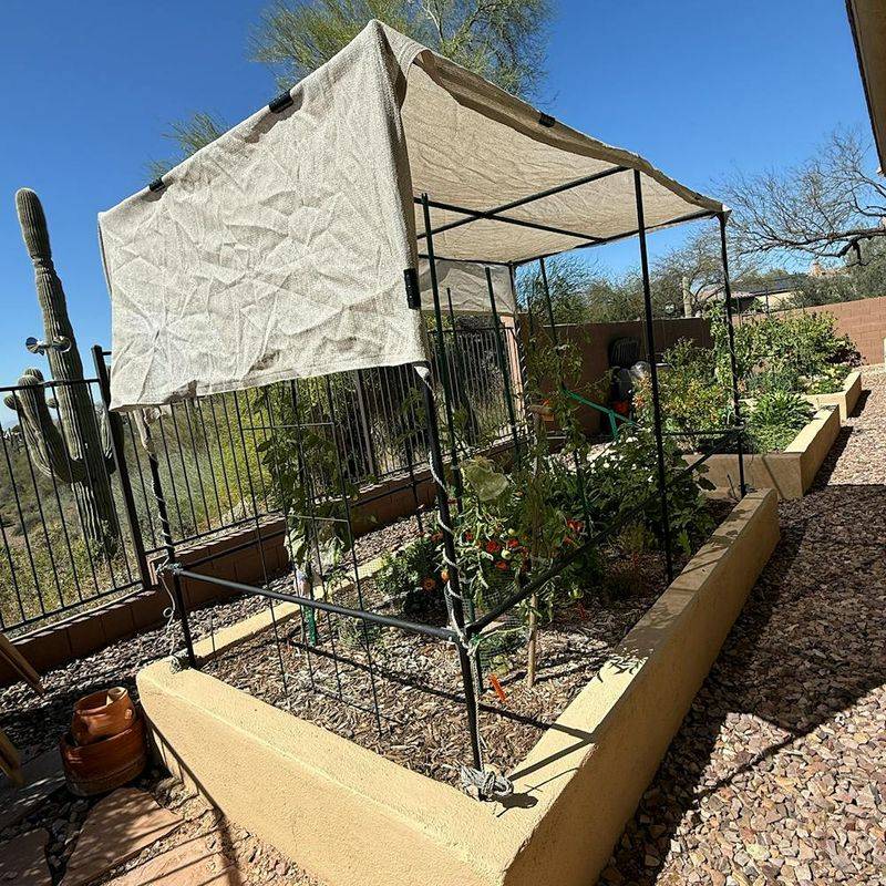 Cover Bare Soil During The Hottest Weeks Cover Bare Soil During The Hottest Weeks