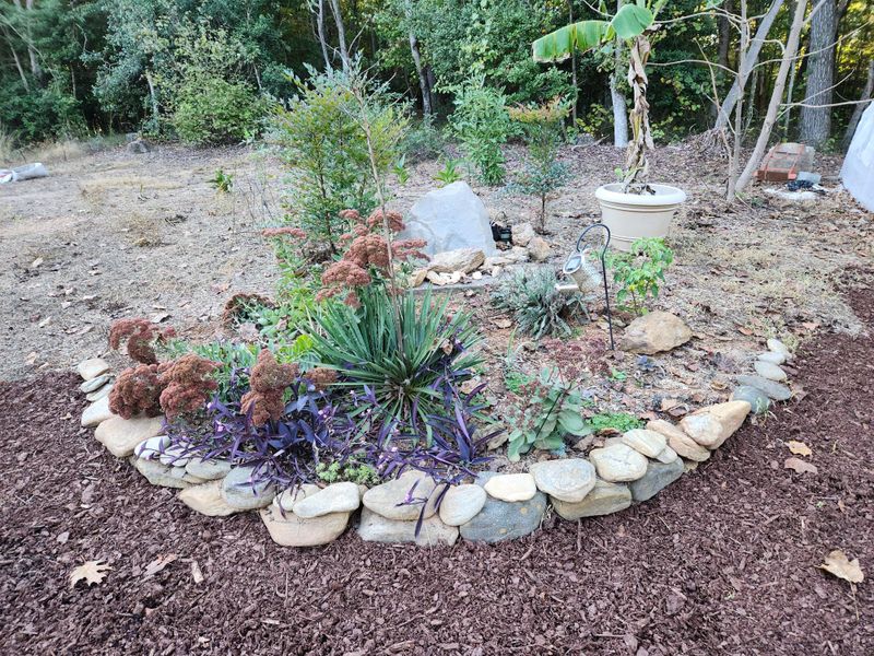 Cover Succulent Edges To Prevent Soil Bake Hardening
