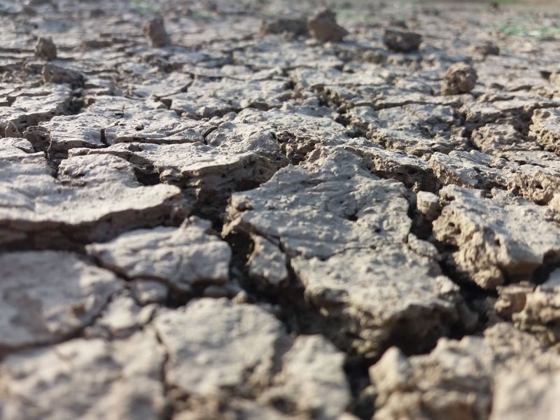 Cracked, Pale Soil Pulling Away From Beds Cracked, Pale Soil Pulling Away From Beds