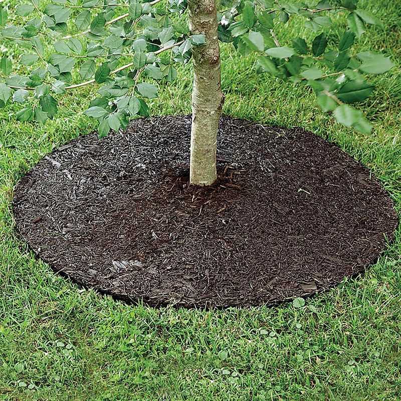 Create A Grass-Free Mulch Ring