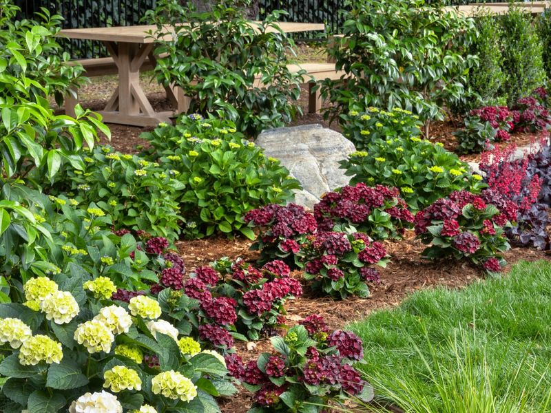 Create Afternoon Shade With Taller Plants Create Afternoon Shade With Taller Plants