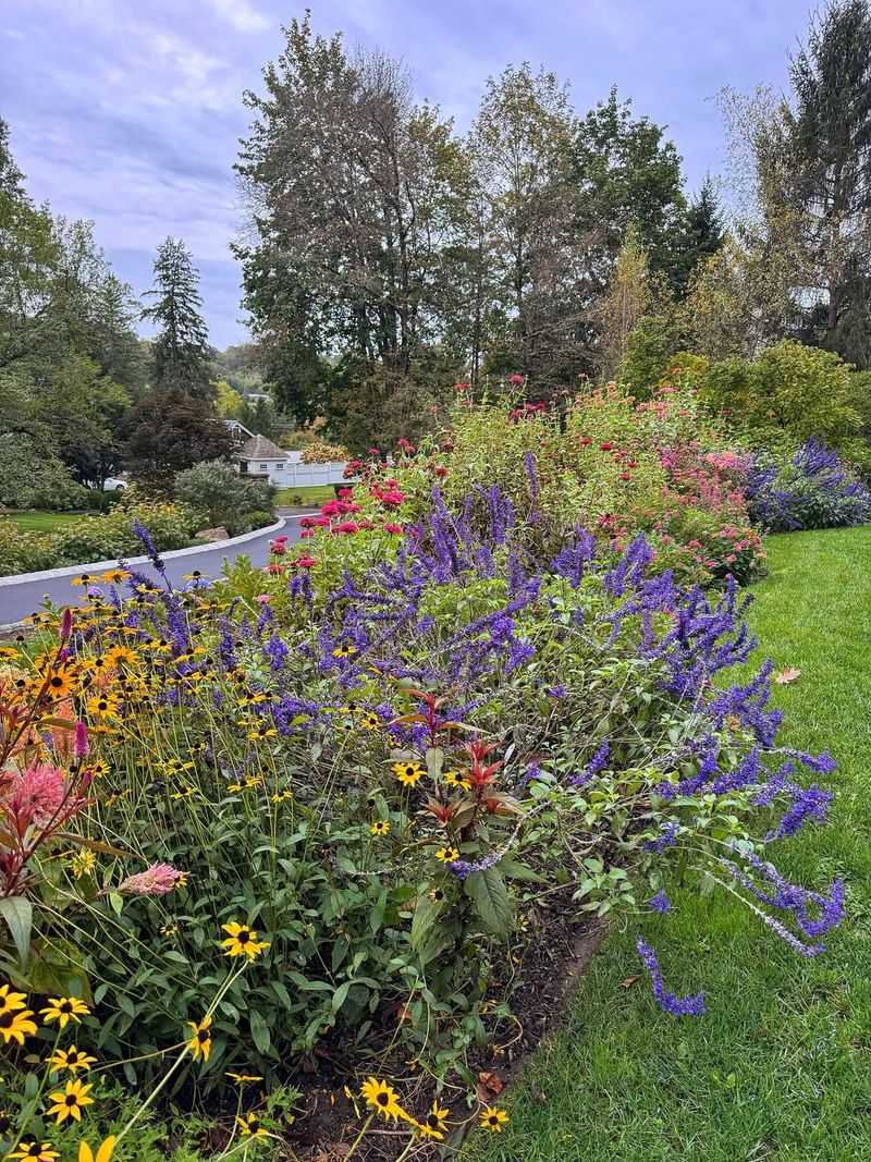 Crowded Plantings Crowded Plantings