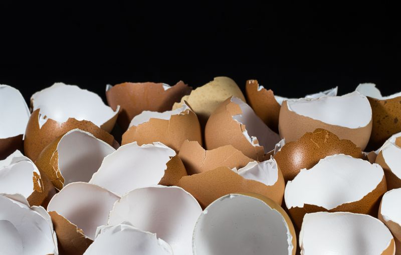 Crushed Eggshells
