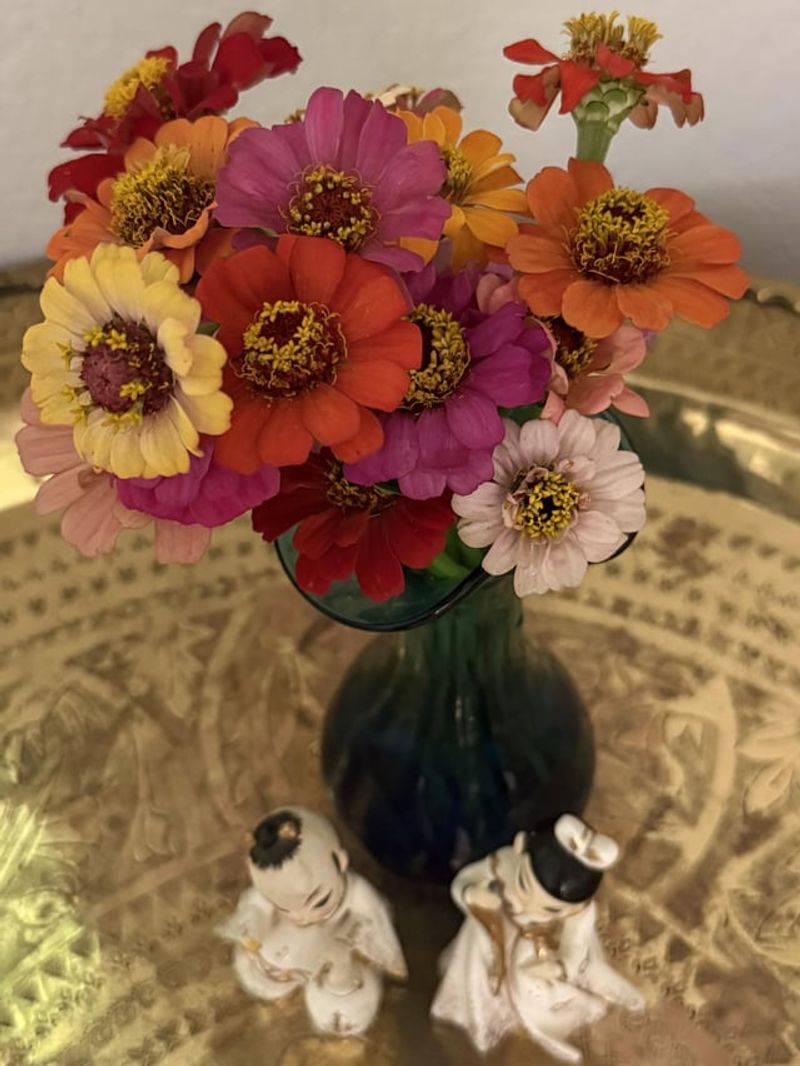 Cut Blooms Before They Fade Cut Blooms Before They Fade