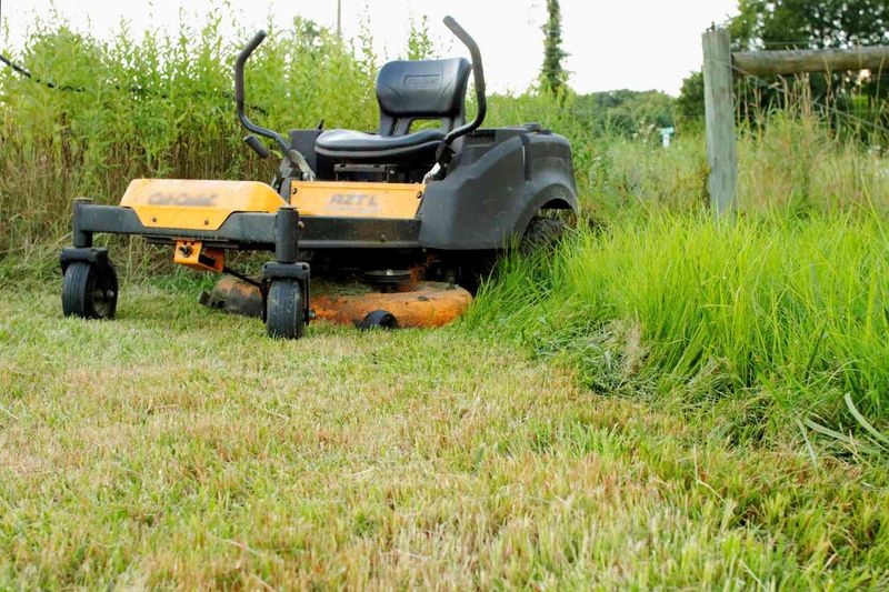 Cutting Grass Too Short