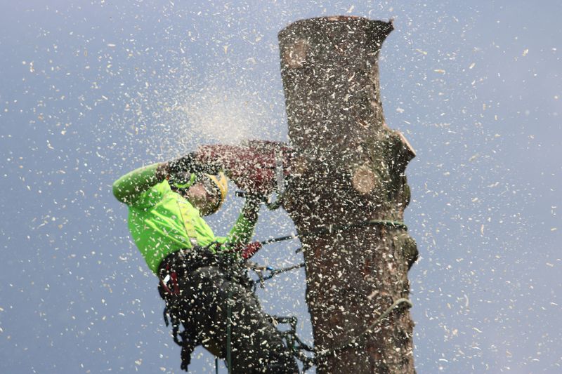 Cutting It Down Alone Can Actually Backfire Cutting It Down Alone Can Actually Backfire