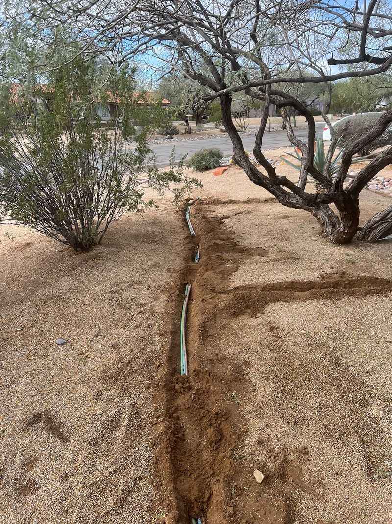 Daily Irrigation Encourages Shallow Root Growth Daily Irrigation Encourages Shallow Root Growth