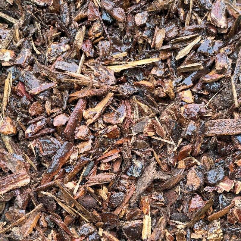 Damp Mulch Stays Cooler Than Surrounding Soil Damp Mulch Stays Cooler Than Surrounding Soil