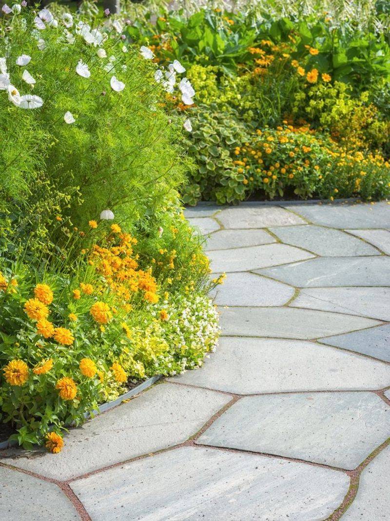 Defined Paths Through Naturalized Garden Areas