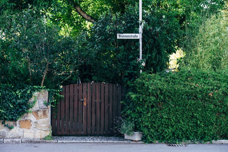 Dense Shrubs Or Tall Grass Growing Near Yard Entry Points Dense Shrubs Or Tall Grass Growing Near Yard Entry Points