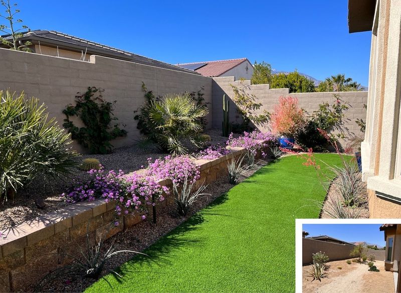Desert Friendly Plants Cool Spaces Better Than Plastic Desert Friendly Plants Cool Spaces Better Than Plastic