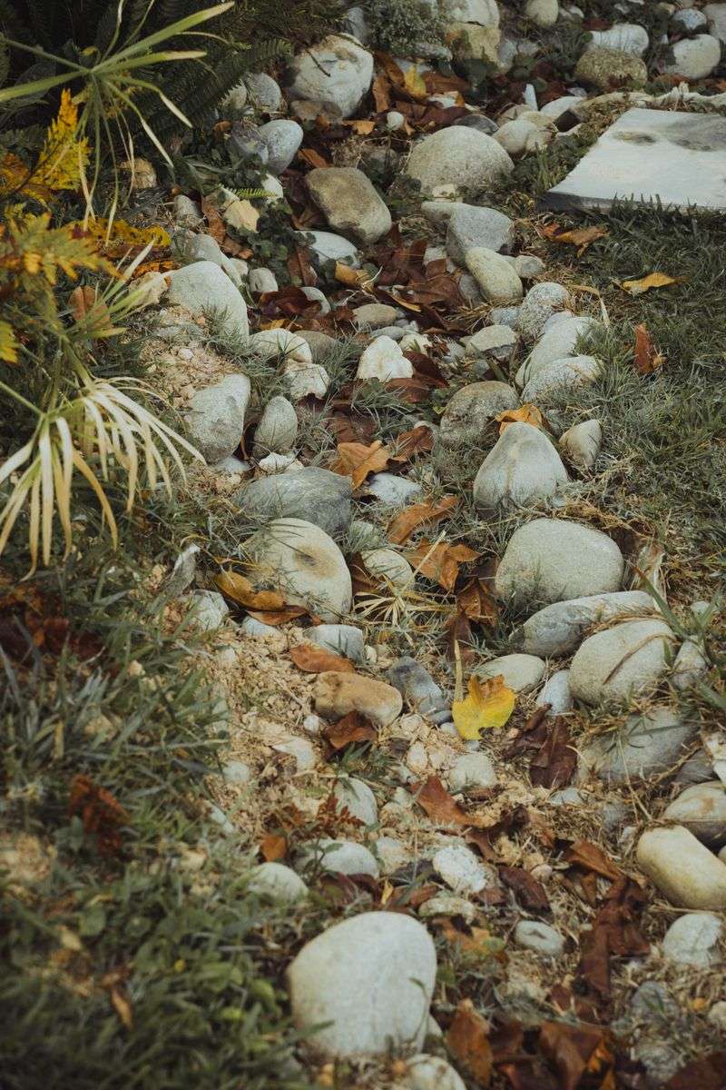 Dig A Dry Creek Bed To Channel Runoff Naturally Dig A Dry Creek Bed To Channel Runoff Naturally
