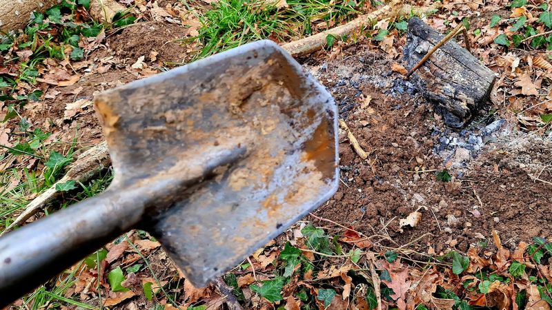 Dirty Tools Move Weed Seeds Around