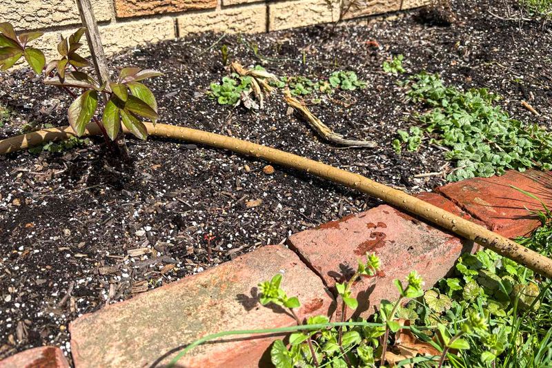 Dirty Water Should Stay Out Of The Hose