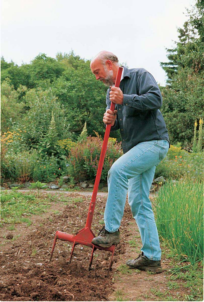 Disturbing Soil Too Deeply And Bringing Up Seeds Disturbing Soil Too Deeply And Bringing Up Seeds