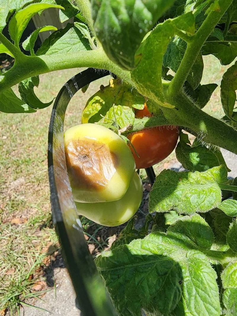 Do Not Let Containers Swing From Dry To Soaked