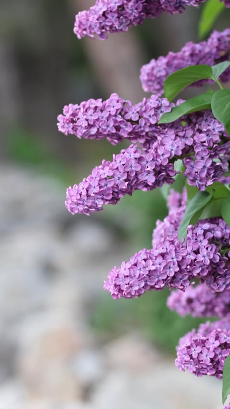 Do Not Wait Until Late Summer