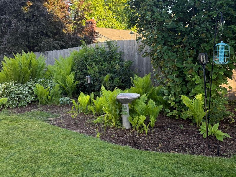 Do Not Work Around Wet Plants
