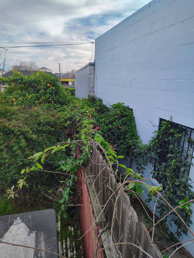 Don't Reach Over The Fence Without Permission Don't Reach Over The Fence Without Permission