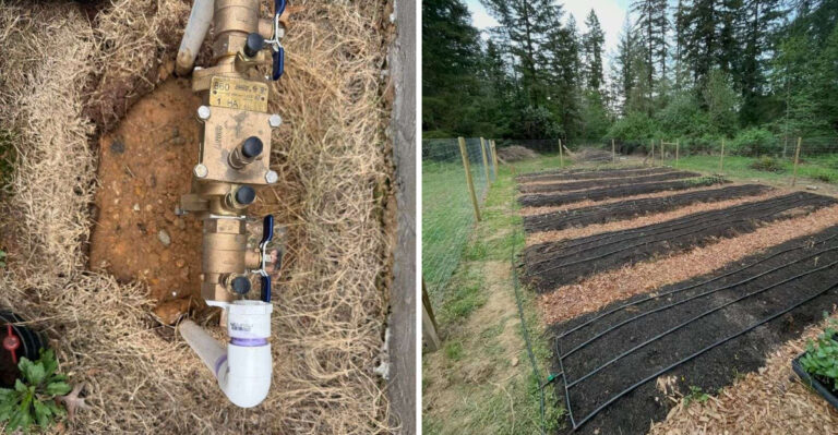 Drip Irrigation Clues California Gardeners Should Check Right Now