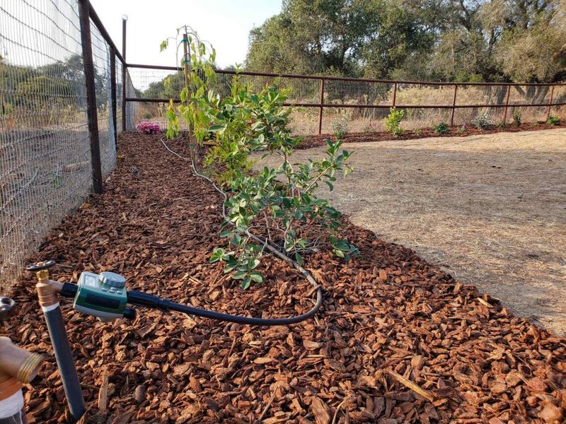Drip Lines Still Need Safe Connections