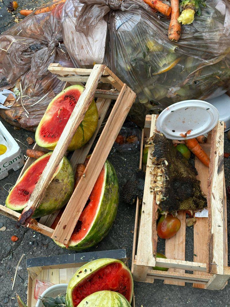 Droppings Near Food Sources