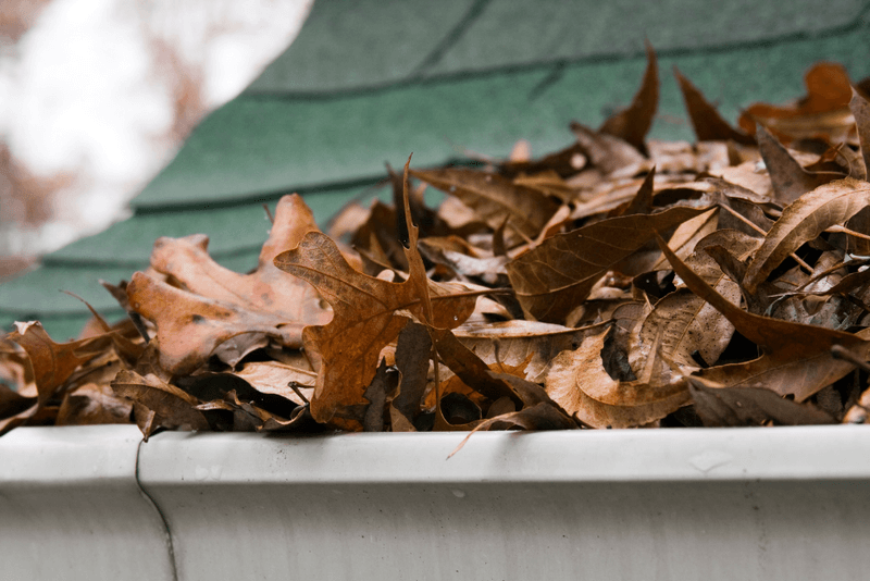 Dry Leaves Can Turn Gutters Into Kindling Dry Leaves Can Turn Gutters Into Kindling