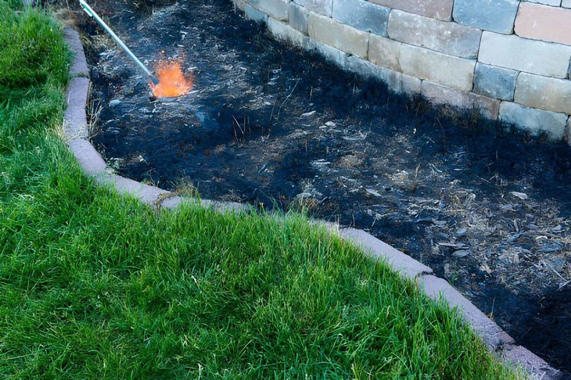 Dry Mulch Can Catch Sparks Faster Than Gardeners Expect Dry Mulch Can Catch Sparks Faster Than Gardeners Expect