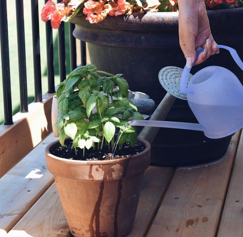 Dry Soil Adds More Stress In Hot Weather