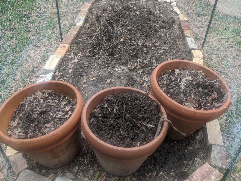 Dry Soil Pulls Away From The Edges