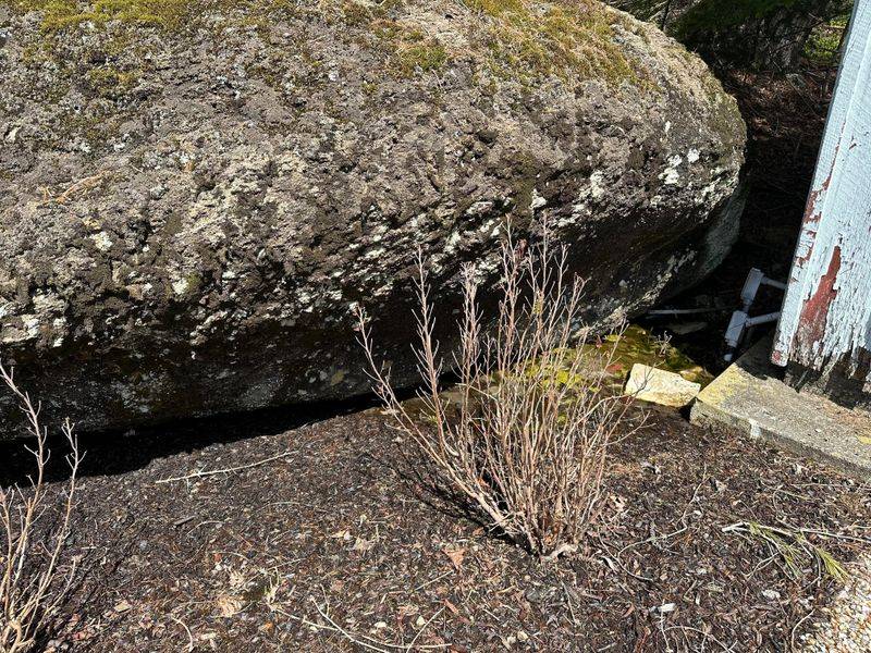 Dry Spells Make Early Moisture Protection Matter