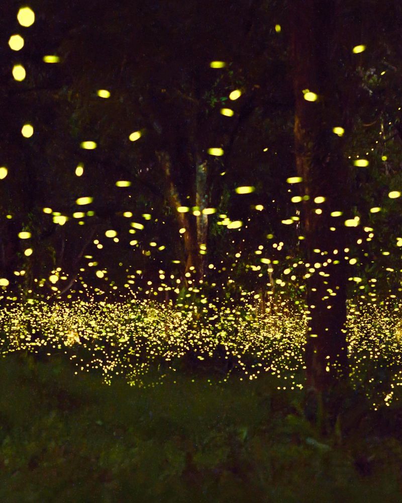 Dry Weather Can Reduce Nighttime Displays Dry Weather Can Reduce Nighttime Displays