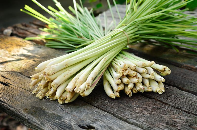 Dual Purpose: Culinary And Aromatic Uses