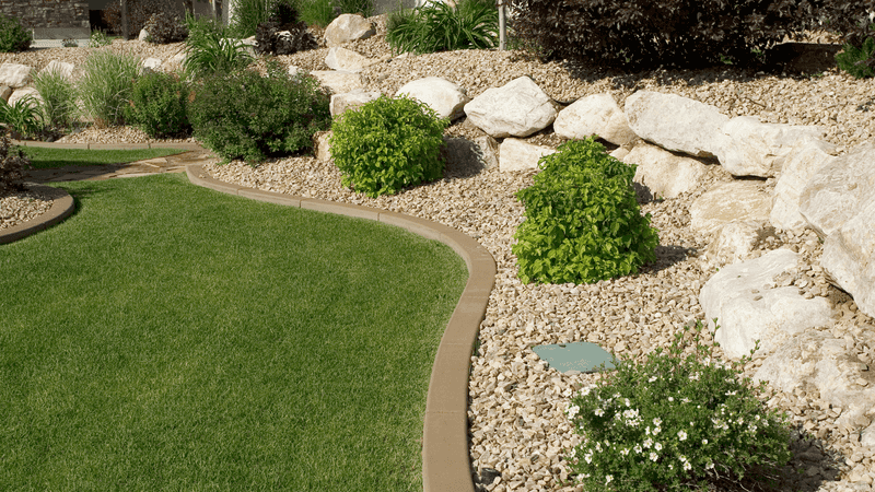 Dwarf Yaupon Holly Looks Polished Without Harsh Shearing Dwarf Yaupon Holly Looks Polished Without Harsh Shearing