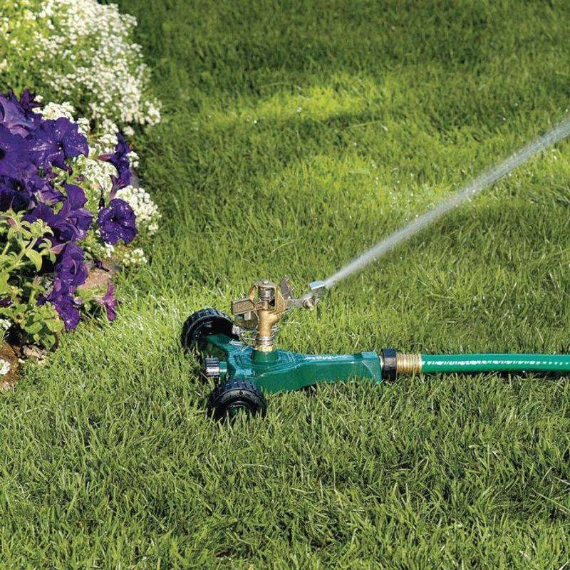Early Morning Watering Makes Every Drop Count Early Morning Watering Makes Every Drop Count