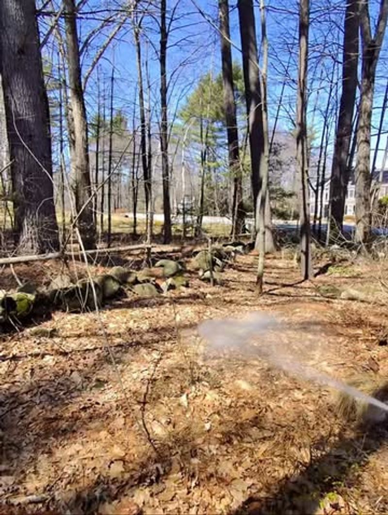 Early Spring Yard Cleanup Reduces Tick Habitat Near High-Use Areas Early Spring Yard Cleanup Reduces Tick Habitat Near High-Use Areas
