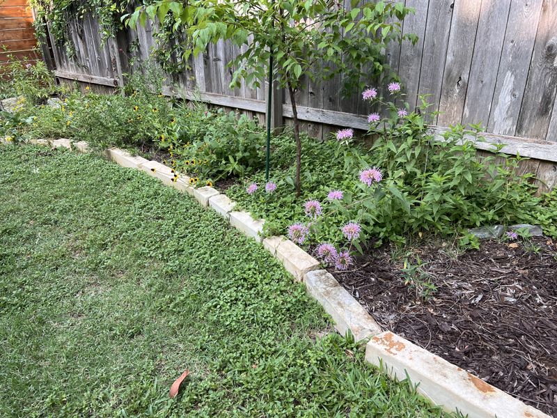 Edges Near Garden Beds