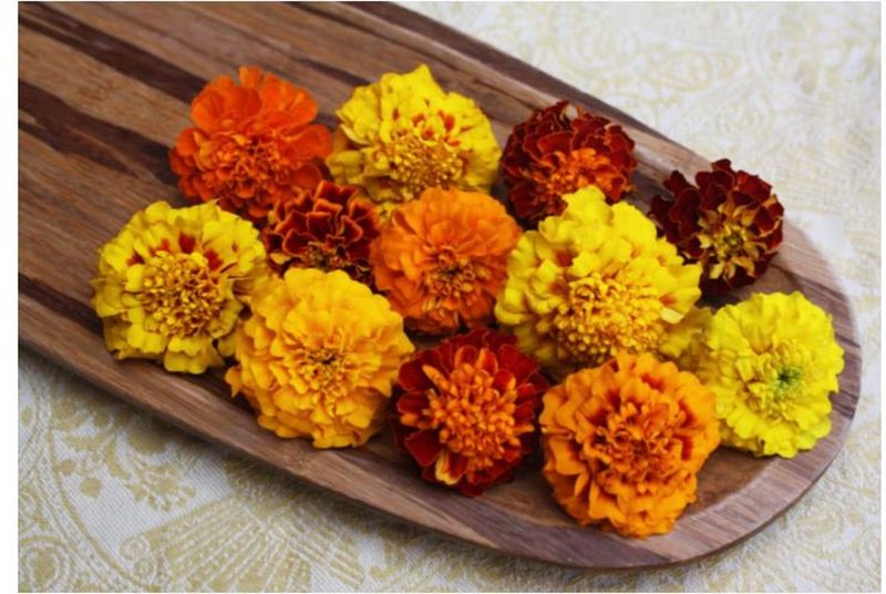 Edible And Medicinal Uses Edible And Medicinal Uses