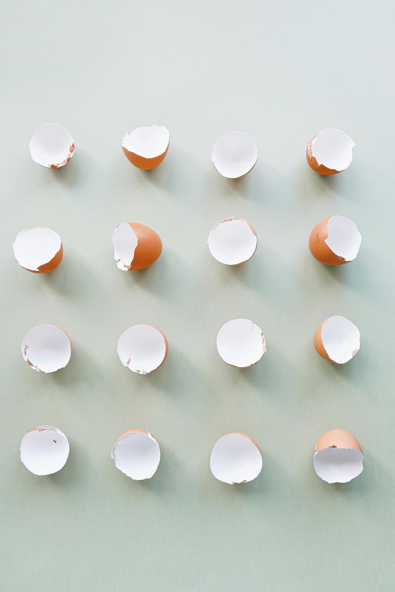 Eggshells