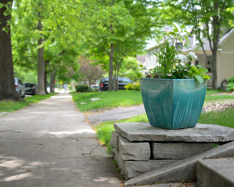 Elevating Pots Off Hot Pavement To Reduce Heat Stress Elevating Pots Off Hot Pavement To Reduce Heat Stress