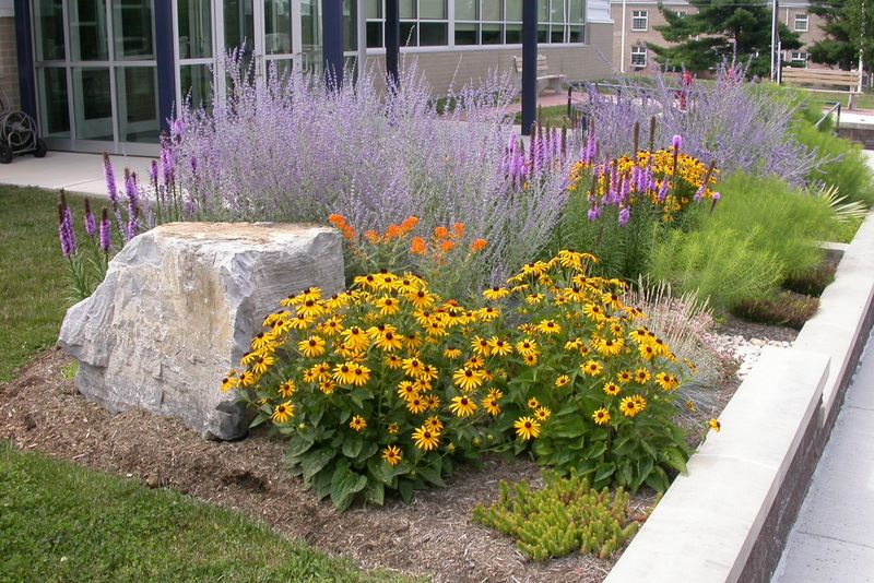 Encourage Natural Succession Encourage Natural Succession