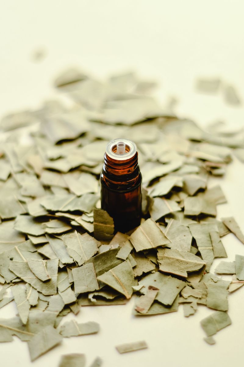 Eucalyptus Oil Is One Critters Tend To Avoid Eucalyptus Oil Is One Critters Tend To Avoid