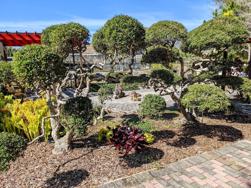 Explore Discovery Gardens In Tavares Explore Discovery Gardens In Tavares