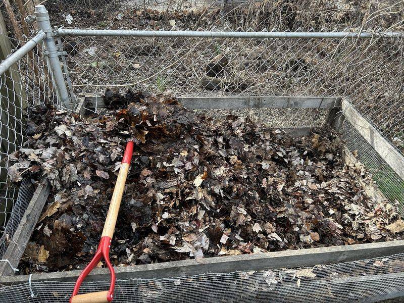 Fallen Leaves Build Free Organic Matter