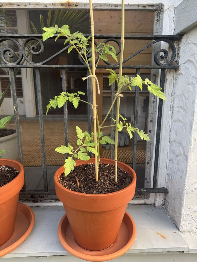 Fast Growth Uses More Water