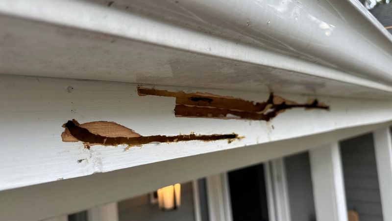 Fast Repairs Help Stop Bigger Porch Problems Later