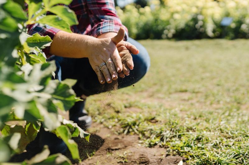 Feed Lightly, Before Plants Push Big Buds Feed Lightly, Before Plants Push Big Buds