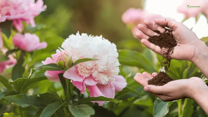 Fertilizing Appropriately Fertilizing Appropriately