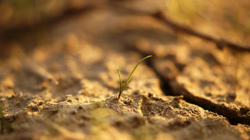 Fertilizing On Dry Soil Fertilizing On Dry Soil