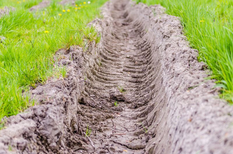 Fill Erosion Ruts With Topsoil